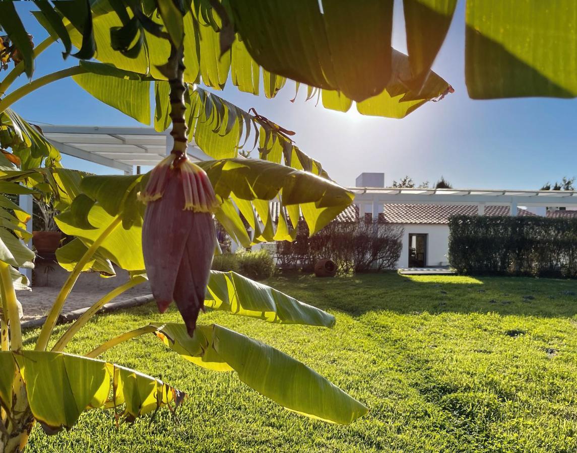 Herdade Do Kuanza Zambujeira do Mar Ngoại thất bức ảnh
